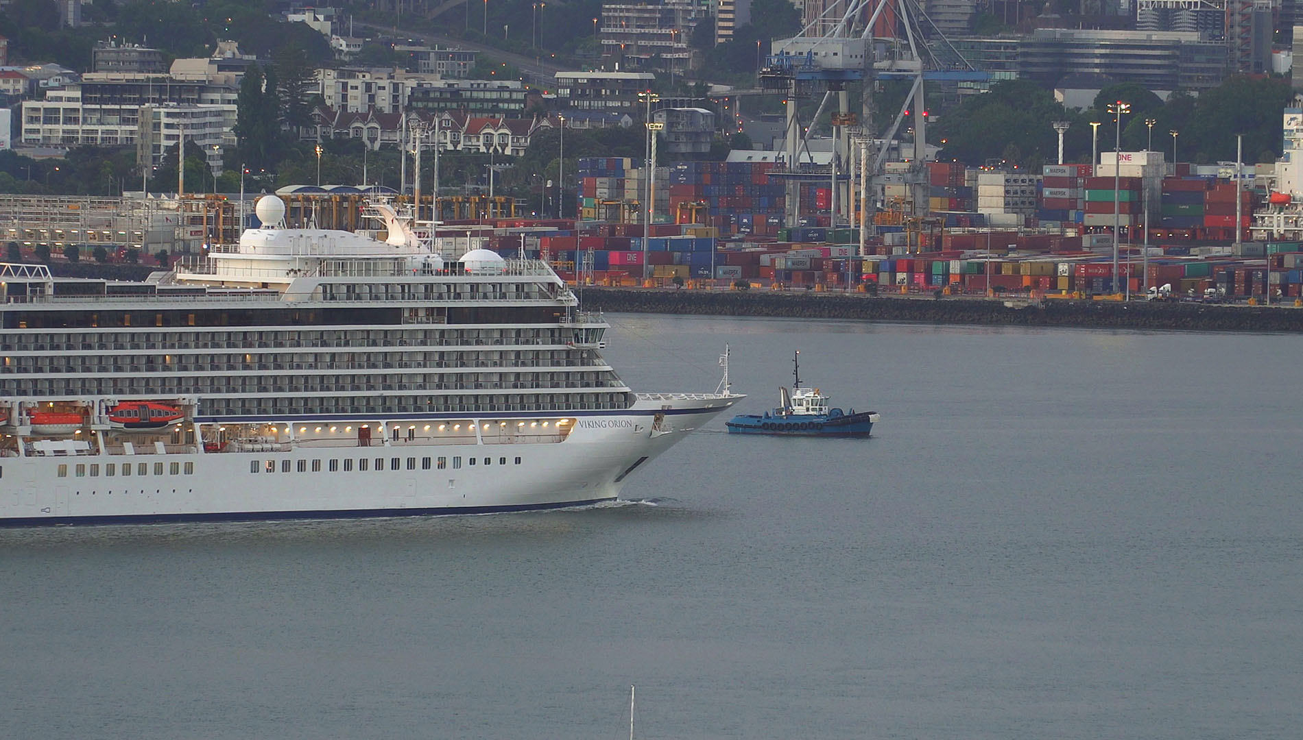 Viking Orion